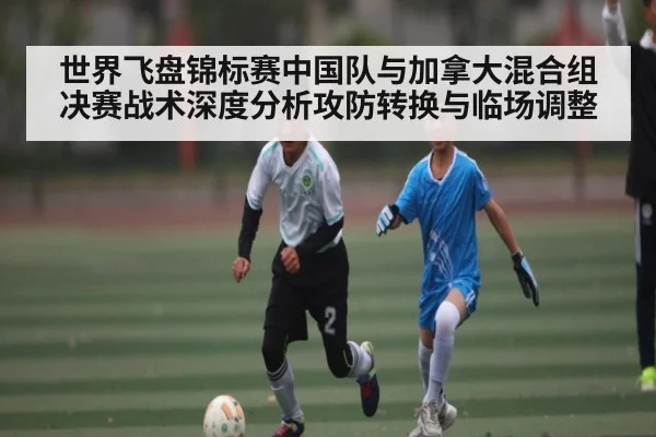 世界飞盘锦标赛中国队与加拿大混合组决赛战术深度分析攻防转换与临场调整